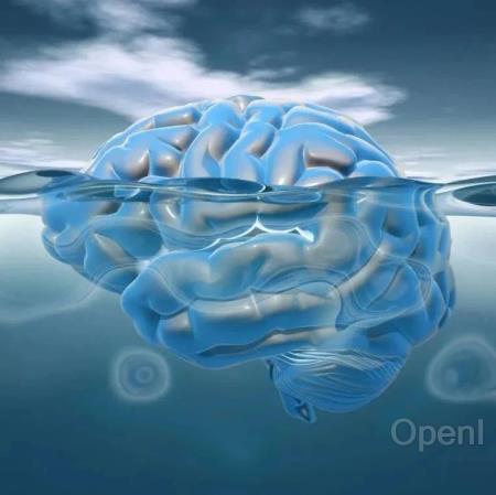 探索大脑临界性的理论基础:重新理解神经动力学