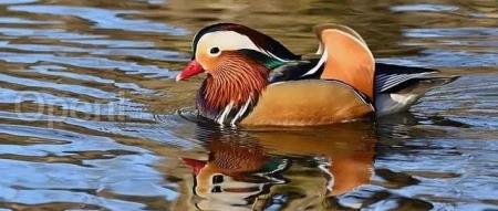 贾扬清新作被某印度创始人内涵借鉴,懒得纠缠:巧了,正准备开源,GitHub 见