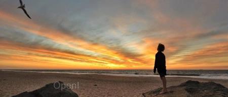 反对用盗版软件开发芯片被开除,公司回应;腾讯游戏全线崩溃;美团买AI公司买个寂寞?创始人回应:王慧文替公司赎身|AI周报