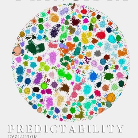 进化是可预测的，还是随机的？