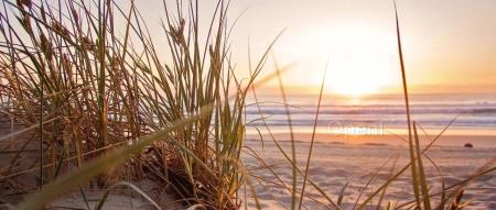 HTAP 在快递行业助力时效分析的落地实践