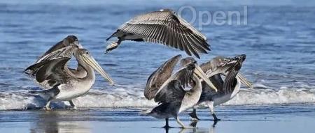 百川智能发布超千亿大模型Baichuan 3,中文评测超越GPT-4