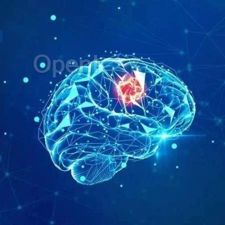 一个框架整合大脑理论 3.1 能公式含义详解