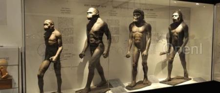 现代人还在"进化"吗？新冠之后呢…