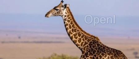 碾压前辈!Meta发布“最大、性能最好”的开源Code Llama 70B,但开发者纷纷喊穷:玩不起!