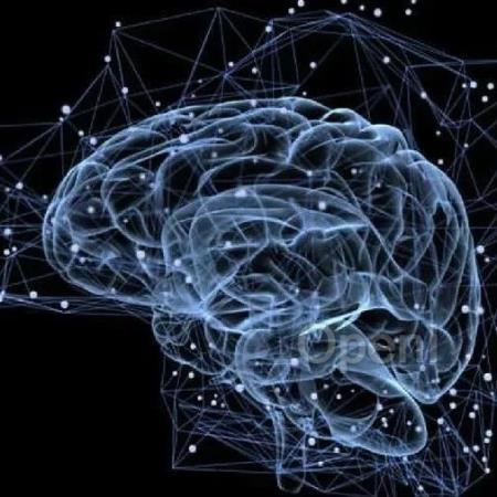 大脑什么时候长大？新发现震惊神经科学家