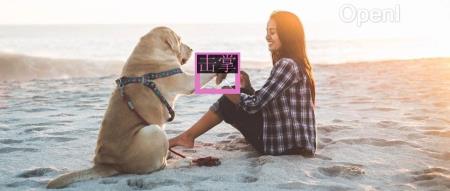 多模态大模型,阿里通义千问能和GPT-4V掰手腕了