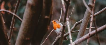 基于大语言模型LangChain框架：知识库问答系统实践｜文末赠书