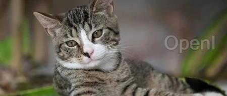 OpenAI出手后，GPT-4真的不懒了？网友不买账：只靠打补丁恐怕无济于事！