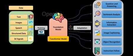 AI的下半场开始了