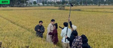 短剧时代：流量、成瘾与被瓦解的人