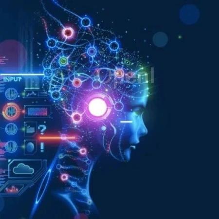 Cell子刊综述：信息分解和大脑的信息结构