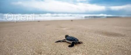 OpenAI“宿敌”:放松不了一点!开源模型一不小心就变安全“卧底”