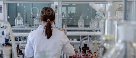 少样本轻量化:多个小模型互学习会比大模型好么?