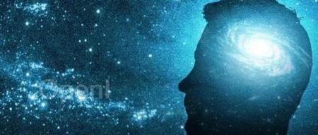 Nature论文 “浅脑理论”:深度神经网络或许不是下一代AI的核心架构?