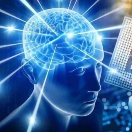 一个框架整合大脑理论 1 大视野概述