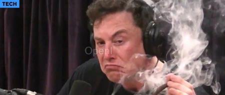 马斯克的星辰大海背后,是「有毒」的工作文化