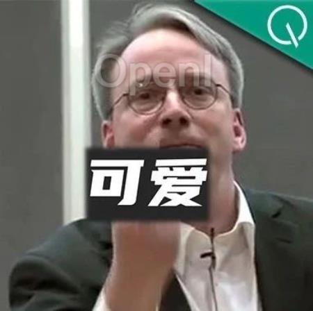 Linus新年首骂：和谷歌大佬大吵4天，“你的代码就是垃圾”