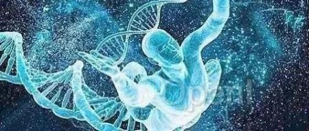 《Science》麻省理工学院发现性的基因“记忆”