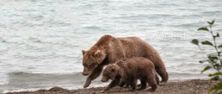 向微软“复仇”!支持OpenAI、Copilot 的Zed编辑器要干掉VS Code:Rust+少插件,速度贼快