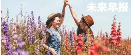 马斯克被曝与特斯拉董事一起吸毒/李想回应巨额年终奖/消息称华为正研发三折叠屏手机