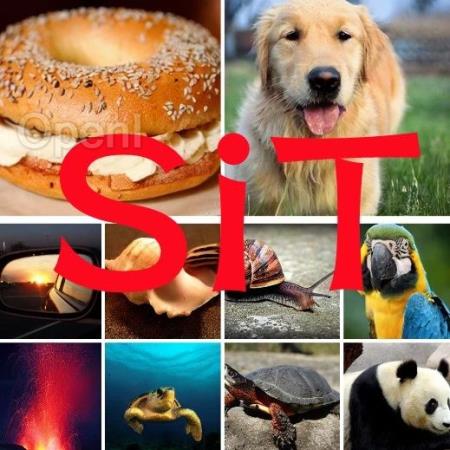 出圈的Sora带火DiT,连登GitHub热榜,已进化出新版本SiT