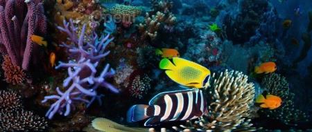 OpenAI王炸模型引爆科技圈，我们第一时间深读了官方技术报告