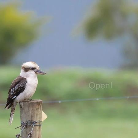 OpenAI 模型家族更新：GPT-4 训练数据至 2023 年 12 月