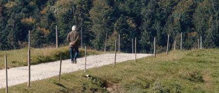 2024 年入局大模型,晚了吗?