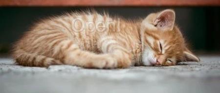 10X增强!ChatGPT退位,Bard登基