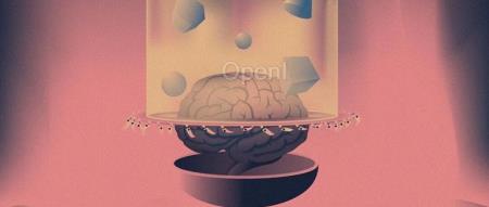 海马体掌管记忆的神,我是你的破壁人 | 追问顶刊