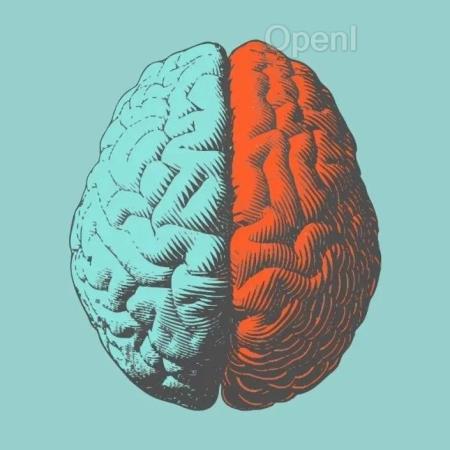 长文综述:大脑中的熵、自由能、对称性和动力学|新春特辑