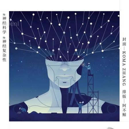 涌现的复杂神经动力学