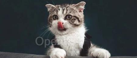 贾扬清质疑 Groq CEO “其芯片价格接近免费”说法,前员工出来实锤:根本不切实际!