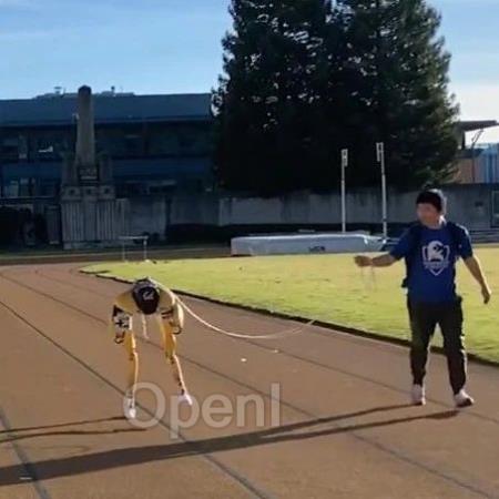 陪跑又快又稳,机器人跑步搭子来了