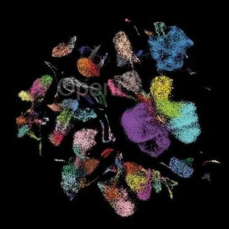 2024值得关注的七个技术:ChatGPT未入选 |《自然》技术特写