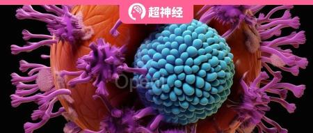 疫苗研发新突破:北航团队提出病毒抗原免疫原性预测新方法 VirusImmu