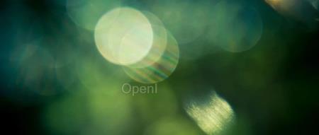 以自监督方式去除荧光图像中的噪声，清华团队开发空间冗余去噪Transformer方法