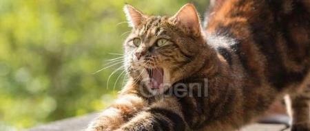 清华系2B模型杀出,性能吊打LLaMA-13B,170万tokens仅需1块钱!