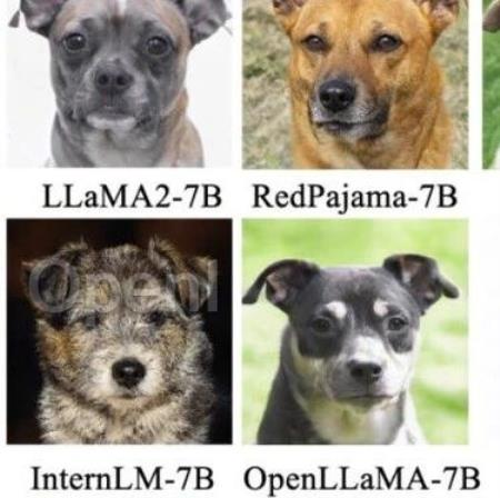 大模型也有小偷?为保护你的参数,上交大给大模型制作「人类可读指纹」