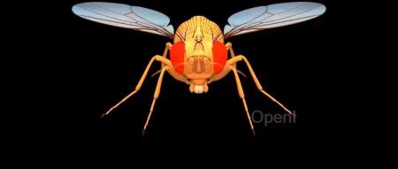 流浪地球里的数字生命计划启动了?DeepMind在电脑里造果蝇,网友:能造人吗?