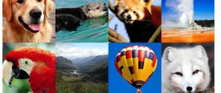 全面超越ViT,美团、浙大等提出视觉任务统一架构VisionLLAMA