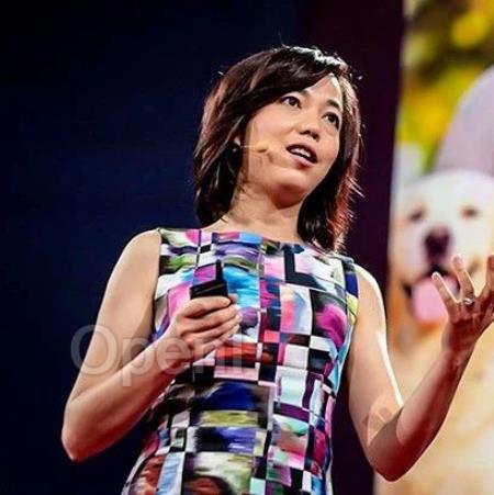 在 ChatGPT 出现之前，李飞飞的ImageNet如何奠定了人工智能的技术？