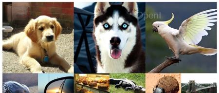 深入解读Transformer扩散模型的先驱之作:DiT、PixArt、HDiT