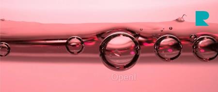 2024 年，中国的投资人们如何投 AI？