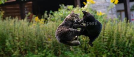 月之暗面Kimi正被大厂“围剿”:90后清华学霸带队“卷”长文本,不到一年估值破百亿