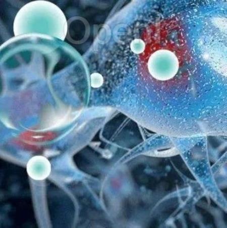 Nature | 逆转时光:一项针对小鼠的研究揭示了免疫系统年轻化的可能