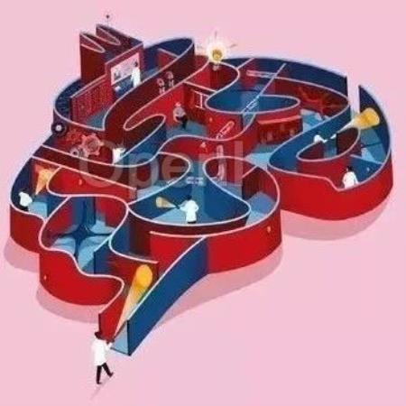 Nature：长期的记忆储存依靠神经“发炎”和DNA损伤