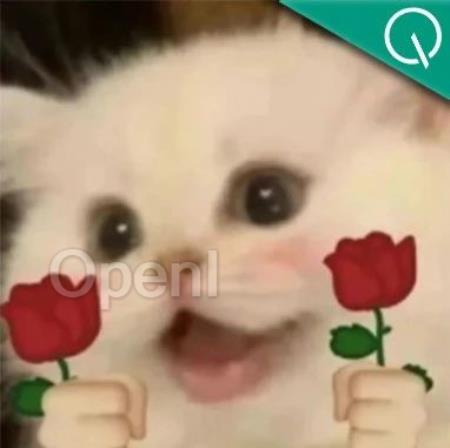 用大模型做好事,几十万奖金等你拿