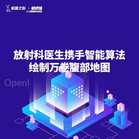 因为AI,构建「腹部地图」这个医学工作加速了数百倍